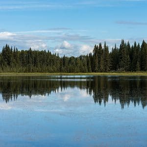 lakeviews